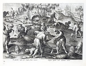 Het uitgraven en vangen van stekelvarkens, plaat 54, illustratie uit 