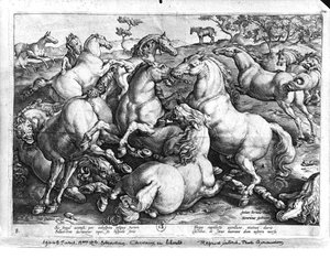 Paarden in het wild door Jan van der Straet