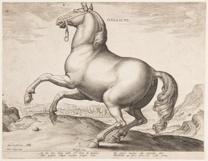 Een Frans Paard, uit de eerste set van "Equile Joannis Austriaci"