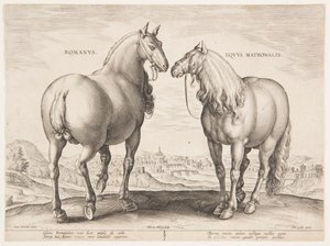 Een Romeins Paard, uit de eerste set van "Equile Joannis Austriaci"