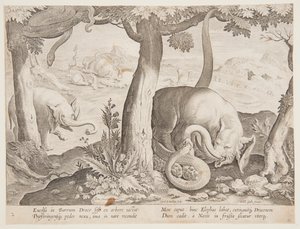 Gevecht tussen Olifanten en Slangen, plaat 2 uit de Venationes Ferarum, Avium, Piscium serie door Jan van der Straet, called Stradanus