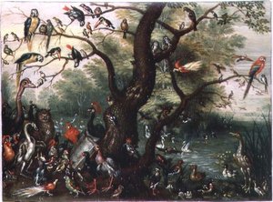 Concert van Vogels
