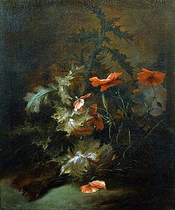 Distels en klaprozen door Jan van the Elder Kessel