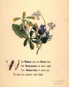 Madeliefjes, Viooltjes, Pinksterbloemen en Koekoeksbloemen door Jane Elizabeth Giraud