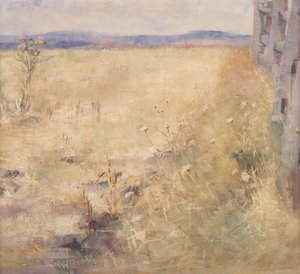 Ploegland in de Zomer, ca. 1900