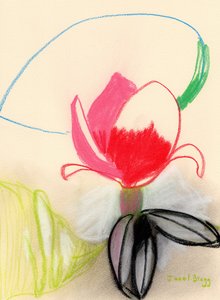 Magnolia in Kleur