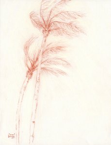Er was eens een tropische vakantie Palm Trees, ca. 2019