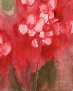 Orchidee in Allzarin Crimson, c.2017