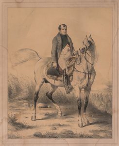 Napoleon door Janet Lange