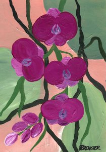 door Janine Brewster