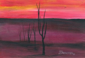  door Janine Brewster