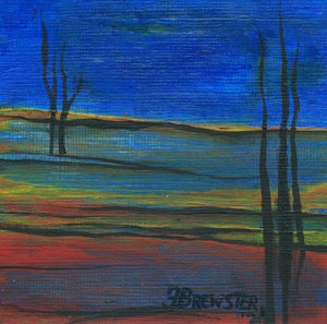  door Janine Brewster