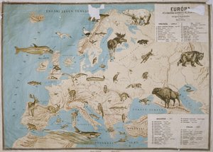 Kaart van dieren in Europa
