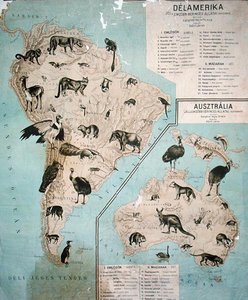 Kaart van dieren in Zuid-Amerika & Australië