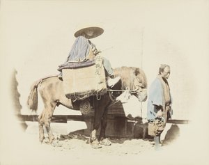 Man op een paard