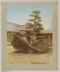 Pijnboom in Kinkakuji-tuin, Kyoto, Japan door Japanese Photographer