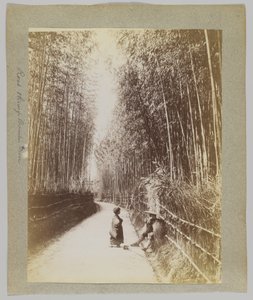 Weg door een bamboebos, Japan