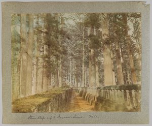 Stenen trappen naar het graf van Ieyasu, Nikko, Japan