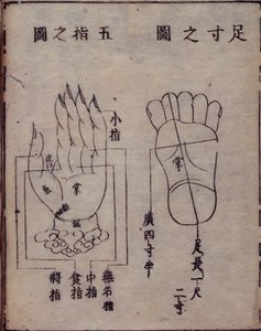 Diagram met acupunctuurpunten in de handen en voeten, uit een Japanse commentaar op een Chinees werk over acupunctuur, de Shisijing fahui van 1341 door Hua Shou, Kyoto door Japanese School