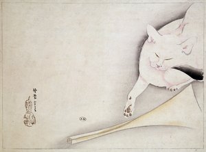 Kat, Japanse tekening