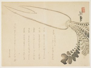 Daikon radijs