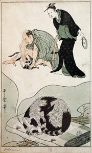 Dromende kat - Japan