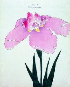En-U-no.-Sora, nr.8, 1898