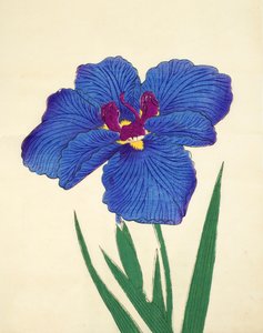 Gosetsu-no.-Mai, nr.9, 1898