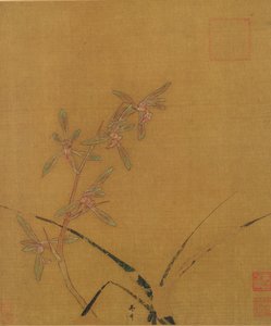 Orchideeën