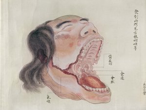 De anatomie van de mond, uit de dissectie van een martelslachtoffer van 1796, uit een makimono van een Midori-dokter, 1842