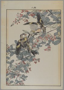 Twee vogels met roze bloemen, Meiji periode, ca. 1868-1912