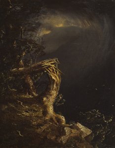 Verwoeste boom