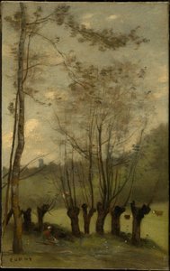 Weide met wilgen, Monthléry