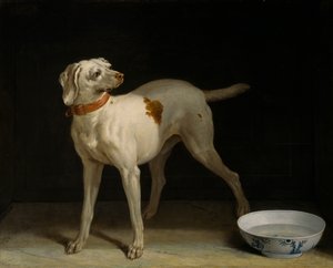 Hond door Jean Baptiste Oudry