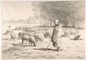 Een herderin met haar kudde