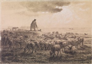 Schapen en herder