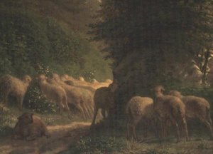Schapen die langs een heg grazen