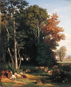 Landschap en dieren