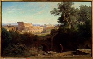Uitzicht op het Colosseum vanaf de Palatijn in Rome