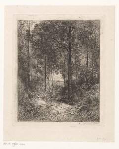 Bosgezicht door Jean Alexis Achard
