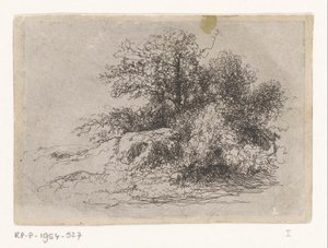 Struikgewas door Jean Alexis Achard