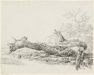 Een oude boom gevallen naast een stroom door Jean Antoine Constantin