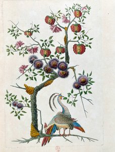 Tekening van een Chinese vaas: vogel en bloemen