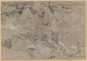 Studie van Oude Boomstam door Jean Antoine Linck