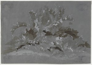 Studie van Onkruid door Jean Antoine Linck