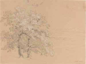 Zonovergoten Bomen Voor een Panoramisch Landschap door Jean Antoine Linck