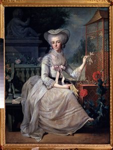 De jonge dame bij de kooi