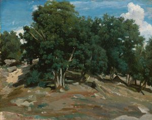 Fontainebleau: Eikenbomen bij Bas-Bréau, 1832-3