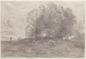 Groep Bomen