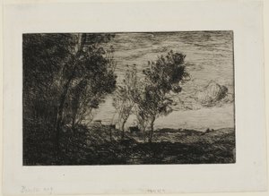 In de duinen: Souvenir van de bossen van Den Haag